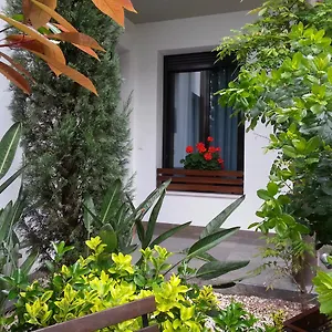 公寓 帕体奥维亚纳公寓酒店, 科爾多瓦